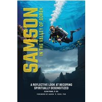 Samson in the Valley of Sorek: A Reflective Look at Becoming Spiritually Desensitized - Samson in the Valley of Sorek: A Reflective Look at Becoming Spiritually Desensitized - jetzt bei oelder-buchhandlung.de kaufen