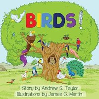 BIRDS! - BIRDS! - jetzt bei oelder-buchhandlung.de kaufen