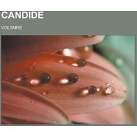 Candide