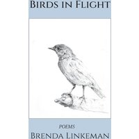 Birds in Flight - Birds in Flight - jetzt bei oelder-buchhandlung.de kaufen
