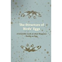 The Structure of Birds' Eggs - A Scientific Look at what Happens Inside an Egg