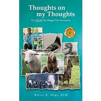 Thoughts on my Thoughts - Thoughts on my Thoughts - jetzt bei oelder-buchhandlung.de kaufen