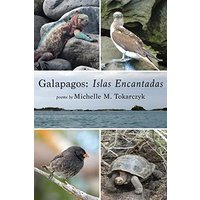 Galapagos: Islas Encantadas - Galapagos: Islas Encantadas - jetzt bei oelder-buchhandlung.de kaufen