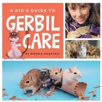 A Kid's Guide to Gerbil Care: Learn about Housing, Feeding, Taming, Handling, Toys, Tricks, and Bonding with Your New Pet Gerbil! - A Kid's Guide to Gerbil Care: Learn about Housing, Feeding, Taming, Handling, Toys, Tricks, and Bonding with Your New Pet Gerbil! - jetzt bei oelder-buchhandlung.de kaufen