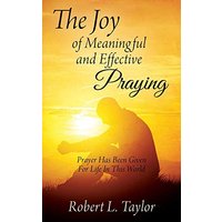 The Joy of Meaningful and Effective Praying: Prayer Has Been Given For Life In This World - The Joy of Meaningful and Effective Praying: Prayer Has Been Given For Life In This World - jetzt bei oelder-buchhandlung.de kaufen