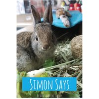Simon Says - Simon Says - jetzt bei oelder-buchhandlung.de kaufen