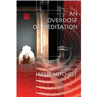 An Overdose of Meditation - An Overdose of Meditation - jetzt bei oelder-buchhandlung.de kaufen