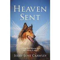 Heaven Sent: A True Story of Losing Hope and Finding an Angel - Heaven Sent: A True Story of Losing Hope and Finding an Angel - jetzt bei oelder-buchhandlung.de kaufen
