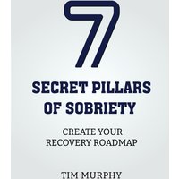 7 Secret Pillars of Sobriety: Create Your Recovery Roadmap - 7 Secret Pillars of Sobriety: Create Your Recovery Roadmap - jetzt bei oelder-buchhandlung.de kaufen