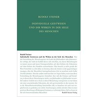 Individuelle Geistwesen und ihr Wirken in der Seele des Menschen: Geistige Wesen und ihre Wirkungen, 2 (Rudolf Steiner Gesamtausgabe)