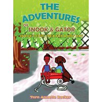 The Adventure of Snook & Gator: Snook's Cool Idea for a Hot Day - The Adventure of Snook & Gator: Snook's Cool Idea for a Hot Day - jetzt bei oelder-buchhandlung.de kaufen