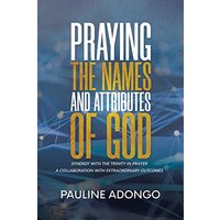 Praying the Names and Attributes of God: Synergy with the Trinity in Prayer a Collaboration with Extraordinary Outcomes - Praying the Names and Attributes of God: Synergy with the Trinity in Prayer a Collaboration with Extraordinary Outcomes - jetzt bei oelder-buchhandlung.de kaufen