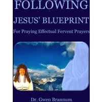 Following Jesus' Blueprint for Praying Effectual Fervent Prayers - Following Jesus' Blueprint for Praying Effectual Fervent Prayers - jetzt bei oelder-buchhandlung.de kaufen