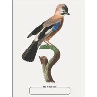 Cornell Notebook, college ruled, with dot grid note-taking area, 100 pages, large size 8.5 x 11, with Table of Contents - Cornell Notebook, college ruled, with dot grid note-taking area, 100 pages, large size 8.5 x 11, with Table of Contents - jetzt bei oelder-buchhandlung.de kaufen