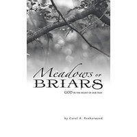 Meadows or Briars: God in the Midst of Our Pain - Meadows or Briars: God in the Midst of Our Pain - jetzt bei oelder-buchhandlung.de kaufen