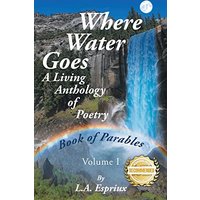 Where Water Goes: First Book of Parables - Where Water Goes: First Book of Parables - jetzt bei oelder-buchhandlung.de kaufen