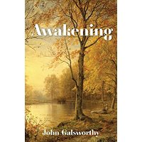 Awakening: And Indian Summer of a Forstye - Awakening: And Indian Summer of a Forstye - jetzt bei oelder-buchhandlung.de kaufen