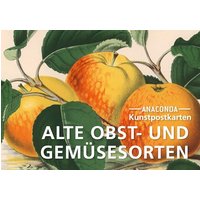 Postkarten-Set Alte Obst- und Gemüsesorten: 18 Kunstpostkarten aus hochwertigem Karton. ca. 0,28€ pro Karte (Anaconda Postkarten, Band 84)