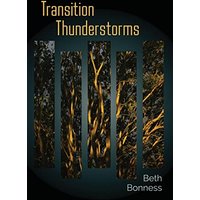 Transition Thunderstorms - Transition Thunderstorms - jetzt bei oelder-buchhandlung.de kaufen