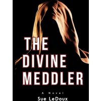 The Divine Meddler - The Divine Meddler - jetzt bei oelder-buchhandlung.de kaufen