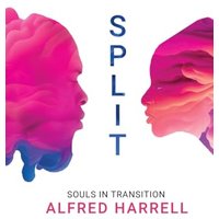SPLIT: Souls in Transition - SPLIT: Souls in Transition - jetzt bei oelder-buchhandlung.de kaufen