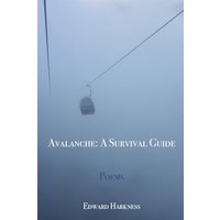 AVALANCHE: A SURVIVAL GUIDE - AVALANCHE: A SURVIVAL GUIDE - jetzt bei oelder-buchhandlung.de kaufen
