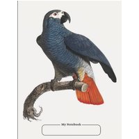 Cornell Notebook, Narrow Ruled, with Dot Grid Note-Taking Area, 100 pages, Large Size 8.5 x 11, with Table of Contents - Cornell Notebook, Narrow Ruled, with Dot Grid Note-Taking Area, 100 pages, Large Size 8.5 x 11, with Table of Contents - jetzt bei oelder-buchhandlung.de kaufen