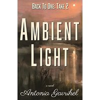 Back to One: Take 2 Ambient Light - Back to One: Take 2 Ambient Light - jetzt bei oelder-buchhandlung.de kaufen
