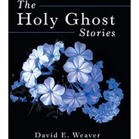 The Holy Ghost Stories - The Holy Ghost Stories - jetzt bei oelder-buchhandlung.de kaufen