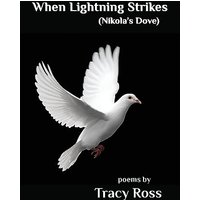 When Lightning Strikes (Nikolas's Dove) - When Lightning Strikes (Nikolas's Dove) - jetzt bei oelder-buchhandlung.de kaufen