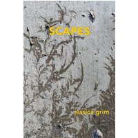 Scapes - Scapes - jetzt bei oelder-buchhandlung.de kaufen
