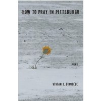 How to Pray in Pittsburgh - How to Pray in Pittsburgh - jetzt bei oelder-buchhandlung.de kaufen