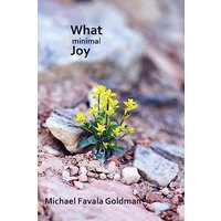 What Minimal Joy! - What Minimal Joy! - jetzt bei oelder-buchhandlung.de kaufen