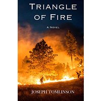 Triangle of Fire (Lightning Trilogy) - Triangle of Fire (Lightning Trilogy) - jetzt bei oelder-buchhandlung.de kaufen