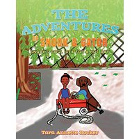 The Adventures of Snook & Gator: Snook's Cool Idea for A Hot Day - The Adventures of Snook & Gator: Snook's Cool Idea for A Hot Day - jetzt bei oelder-buchhandlung.de kaufen