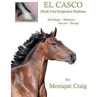 EL CASCO...Desde Una Perspectiva Moderna - EL CASCO...Desde Una Perspectiva Moderna - jetzt bei oelder-buchhandlung.de kaufen