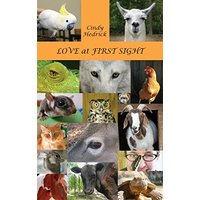 Love at First Sight - Love at First Sight - jetzt bei oelder-buchhandlung.de kaufen