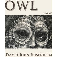 OWL - OWL - jetzt bei oelder-buchhandlung.de kaufen