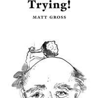 Trying!: Eleven Attempts to Make Sense of Our World - Trying!: Eleven Attempts to Make Sense of Our World - jetzt bei oelder-buchhandlung.de kaufen