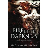 Fire in the Darkness (Darkness Series, Band 2) - Fire in the Darkness (Darkness Series, Band 2) - jetzt bei oelder-buchhandlung.de kaufen