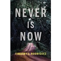 Never is Now - Never is Now - jetzt bei oelder-buchhandlung.de kaufen