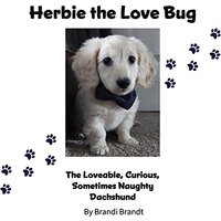 Herbie the Love Bug - Herbie the Love Bug - jetzt bei oelder-buchhandlung.de kaufen