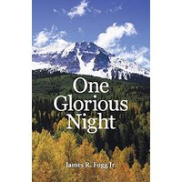One Glorious Night - One Glorious Night - jetzt bei oelder-buchhandlung.de kaufen