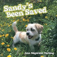 Sandy's Been Saved - Sandy's Been Saved - jetzt bei oelder-buchhandlung.de kaufen