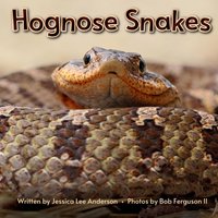 Hognose Snakes (Fascinature Books for Young Readers) - Hognose Snakes (Fascinature Books for Young Readers) - jetzt bei oelder-buchhandlung.de kaufen