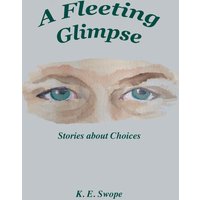 A Fleeting Glimpse: Stories about Choices - A Fleeting Glimpse: Stories about Choices - jetzt bei oelder-buchhandlung.de kaufen