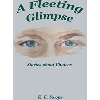 A Fleeting Glimpse: Stories about Choices - A Fleeting Glimpse: Stories about Choices - jetzt bei oelder-buchhandlung.de kaufen