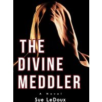 The Divine Meddler - The Divine Meddler - jetzt bei oelder-buchhandlung.de kaufen