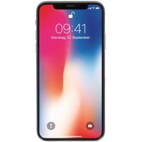 Apple iPhone X 256Go gris sidéral - très bon état