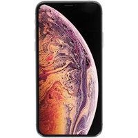Apple iPhone XS 256Go gris sidéral - bon état